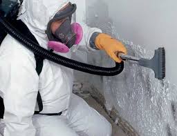 Biohazard Mold Removal in Belvidere, IL